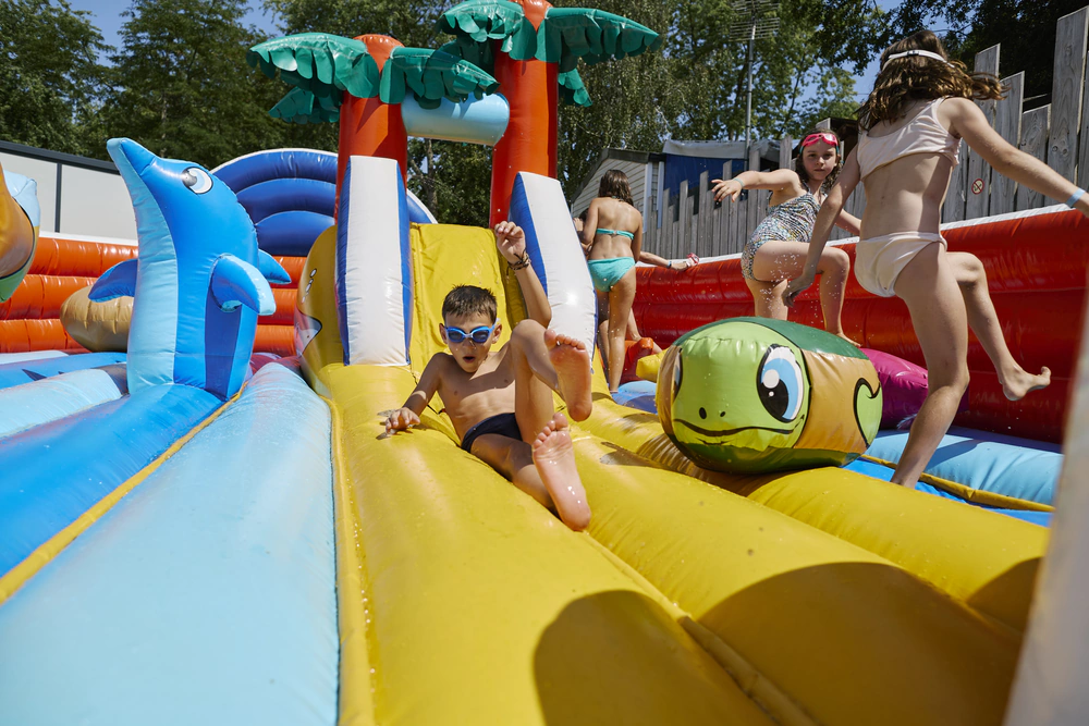 MACAREUX au camping de l'étang du pays blanc en loire atlantique