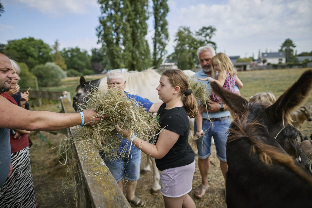 Enfants apprenants à nourir les animaux à la mini-ferme pédagogique du camping de l'étang du pays blanc